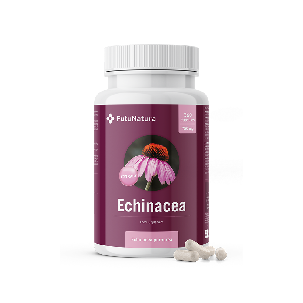 Echinacea – estratto 10:1