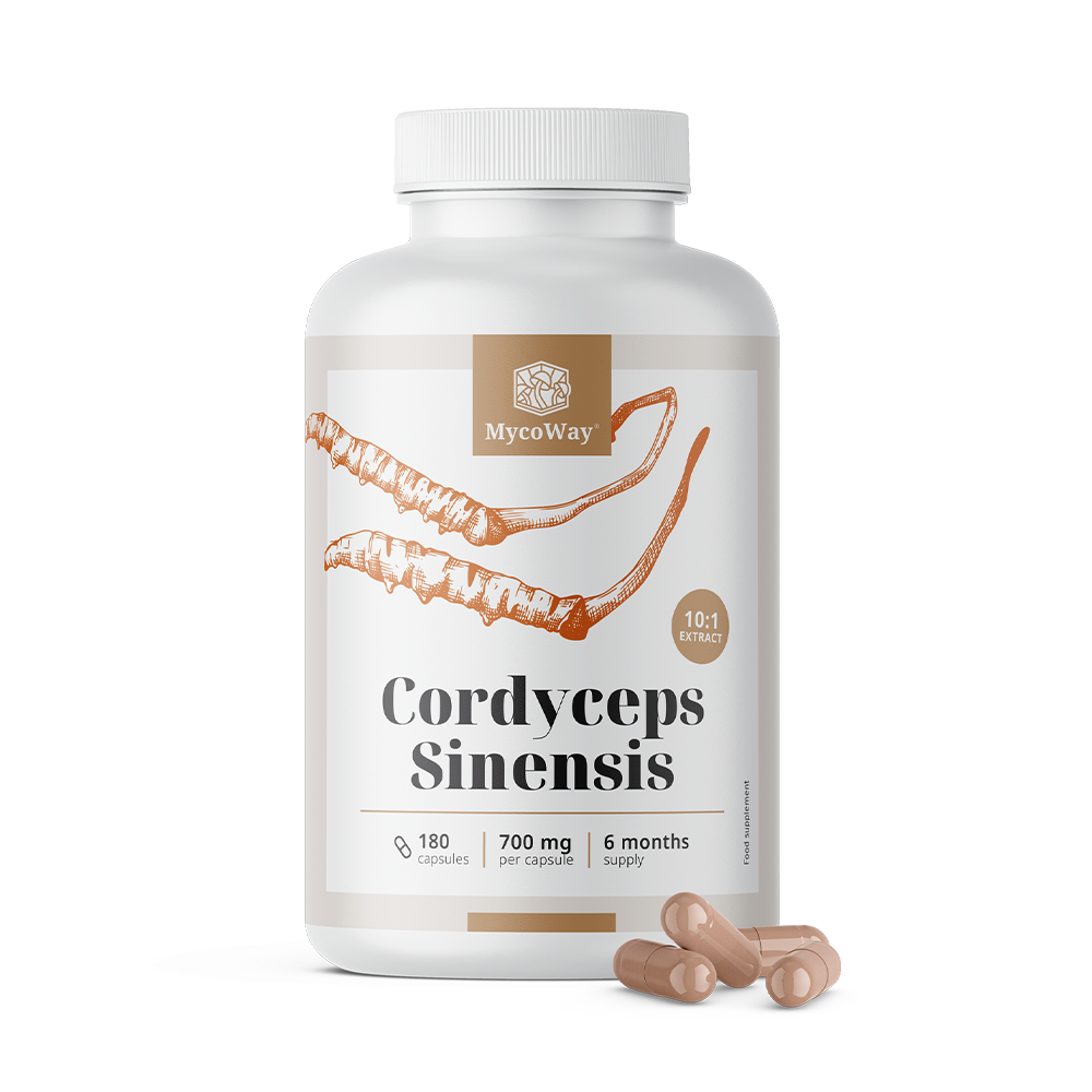 Cordyceps sinensis 1400 mg – estratto 10:1