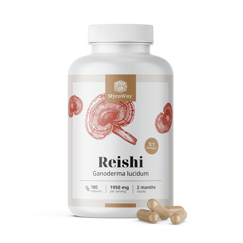 Reishi 1950 mg – estratto 5:1