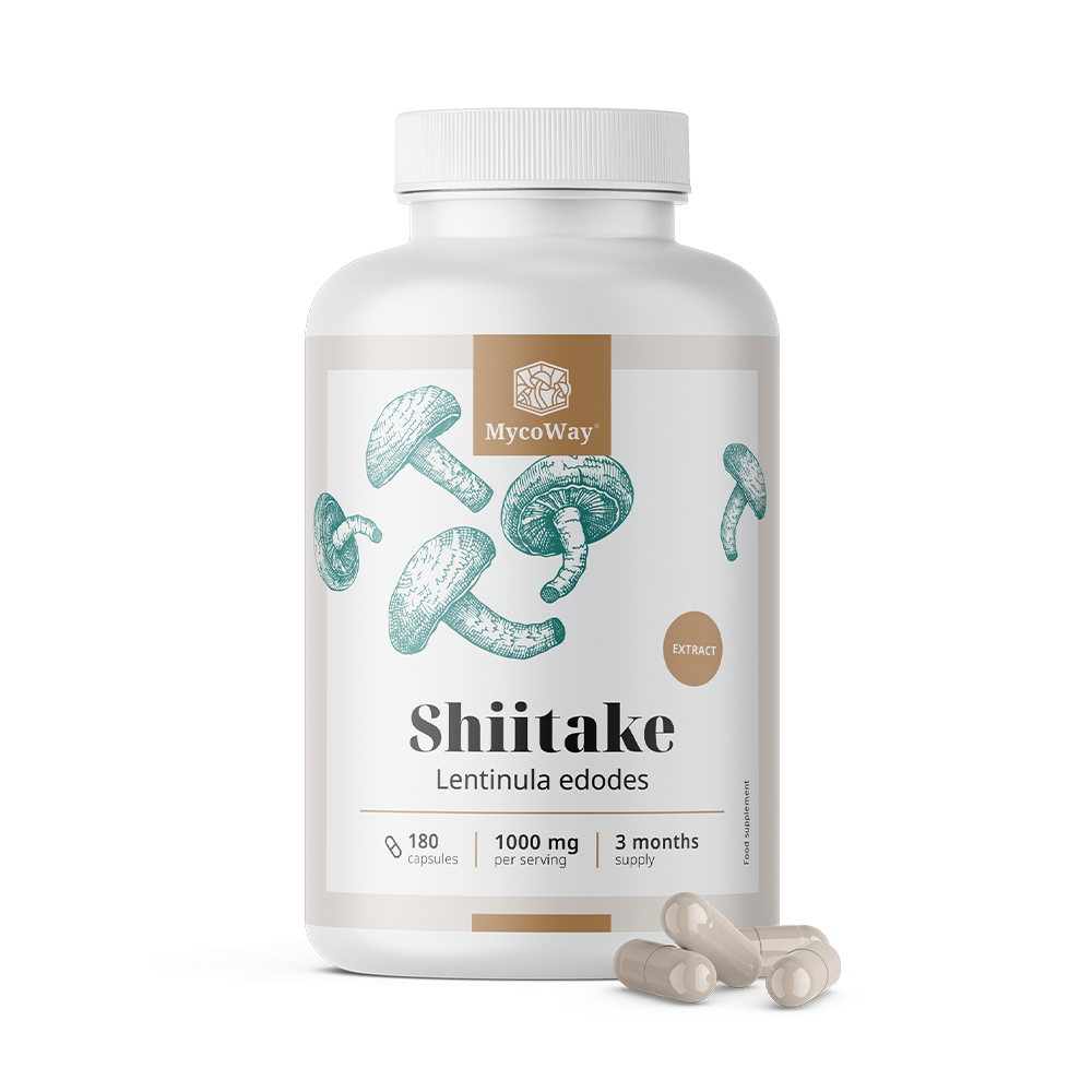 Shiitake 1000 mg – estratto