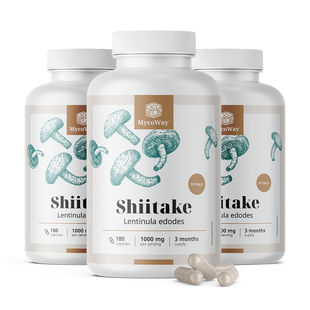 Shiitake 1000 mg – estratto