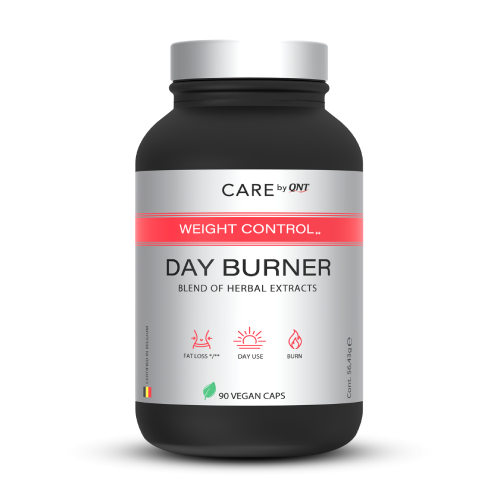 Day burner 