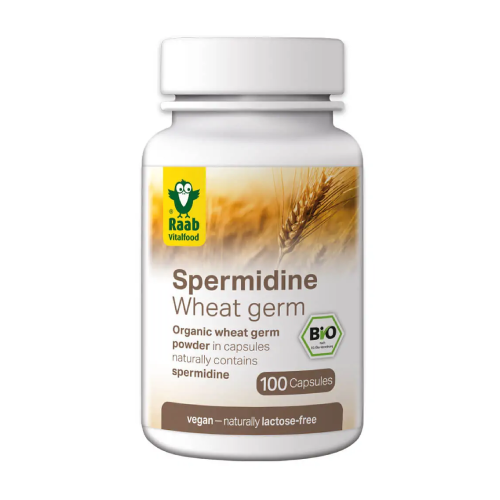 Spermidina – dall'estratto di BIO germe di grano